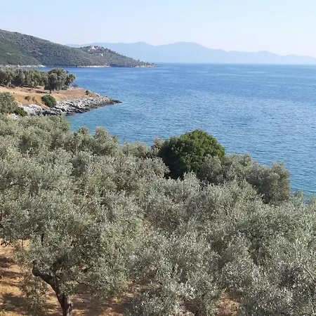 Leonidas Greecegrandtour