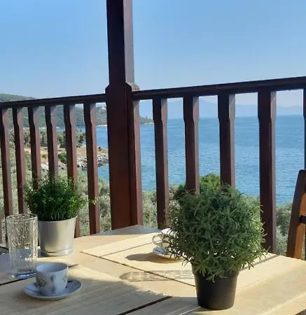 别墅 Leonidas Greecegrandtour South Pelion