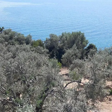 Leonidas Greecegrandtour *